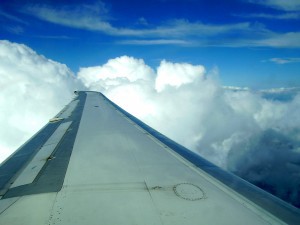 Plane_wing-300x225